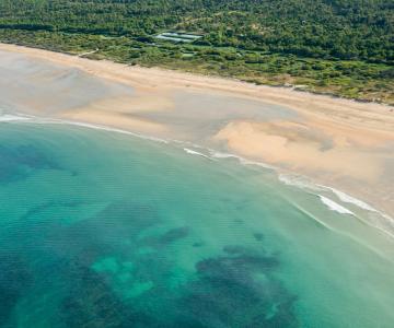 Horaires des marées et météo sur l'île d'Oléron et le bassin de Marennes