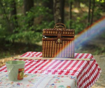 Picknickplaatsen île d'Oléron Marennes