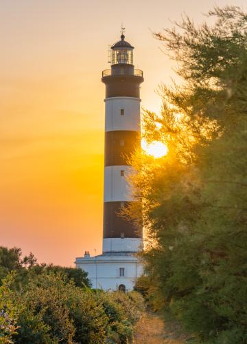 Phare de Chassiron - webcam