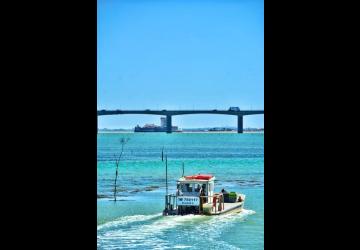 Compagnie Interîles - Au départ de l'île d'Oléron (St-Denis-d'Oléron) Juillet-Août_Saint-Denis-d'Oléron