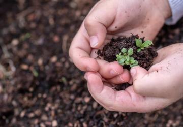 Atelier 4-6 ans : Petit jardinier