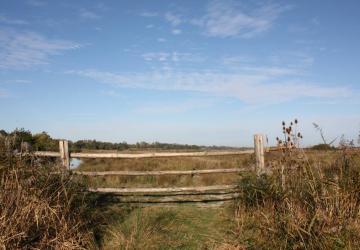 Marais de Brouage