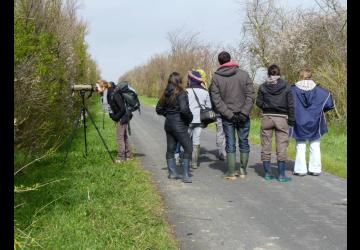 Reserve-Moeze-Oleron-LPO-Le-printemps-des-gorgebleues