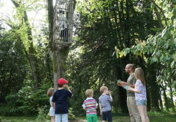 Jeu de réflexion au chateau des énigmes de Pons