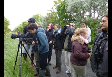 Reserve-Moeze-Oleron-LPO-Visite-guidée