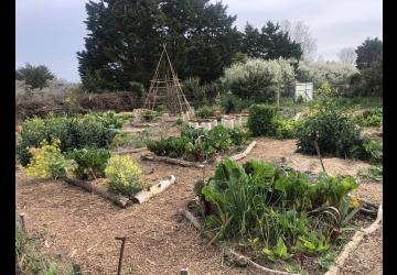 Cycle permaculture appliquée au jardin : le sol