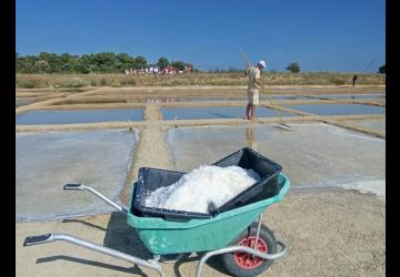 Visite commentée du marais salant du Port des Salines_Le Grand-Village-Plage